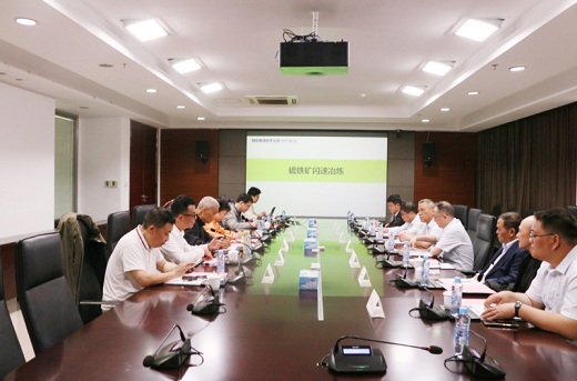 集團公司聚焦硫鐵礦資源高效開發(fā)